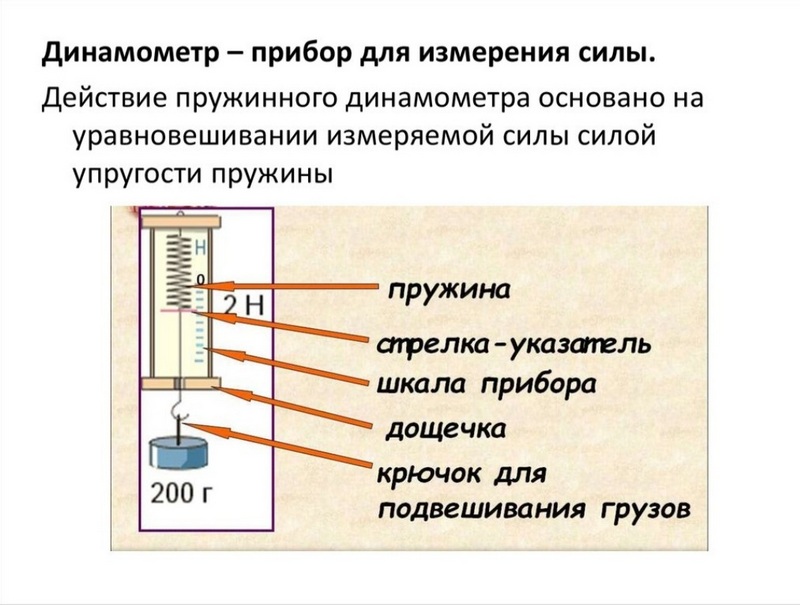 Градуирование динамометра.